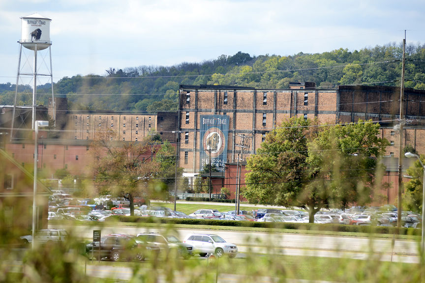 Buffalo Trace through bushes